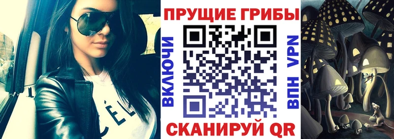 площадка телеграм  Семёнов  Псилоцибиновые грибы Magic Shrooms  наркотики 